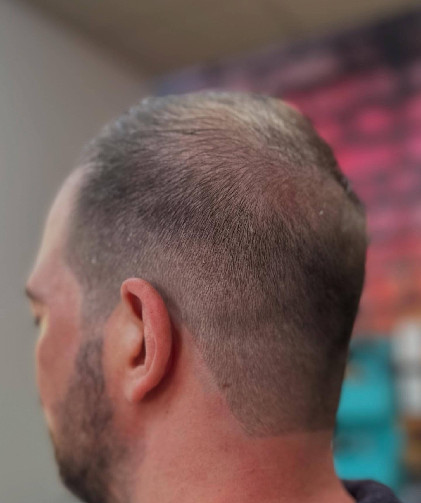 Brush Back